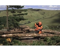 Husqvarna 565 láncfűrész