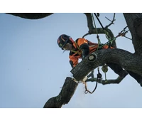  Husqvarna T540iXP Akkumulátoros Láncfűrész