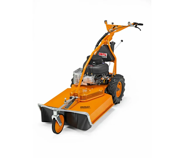 AS 65 4T B&S